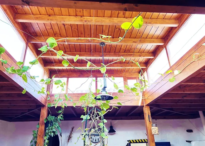 Casa Rural Estilo Canario * San Bartolomé