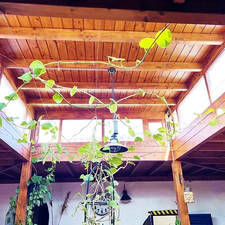 Casa Rural Estilo Canario * San Bartolomé