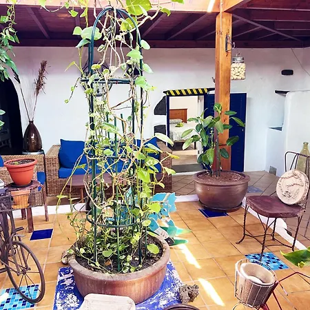Villa Casa Rural Estilo Canario San Bartolomé